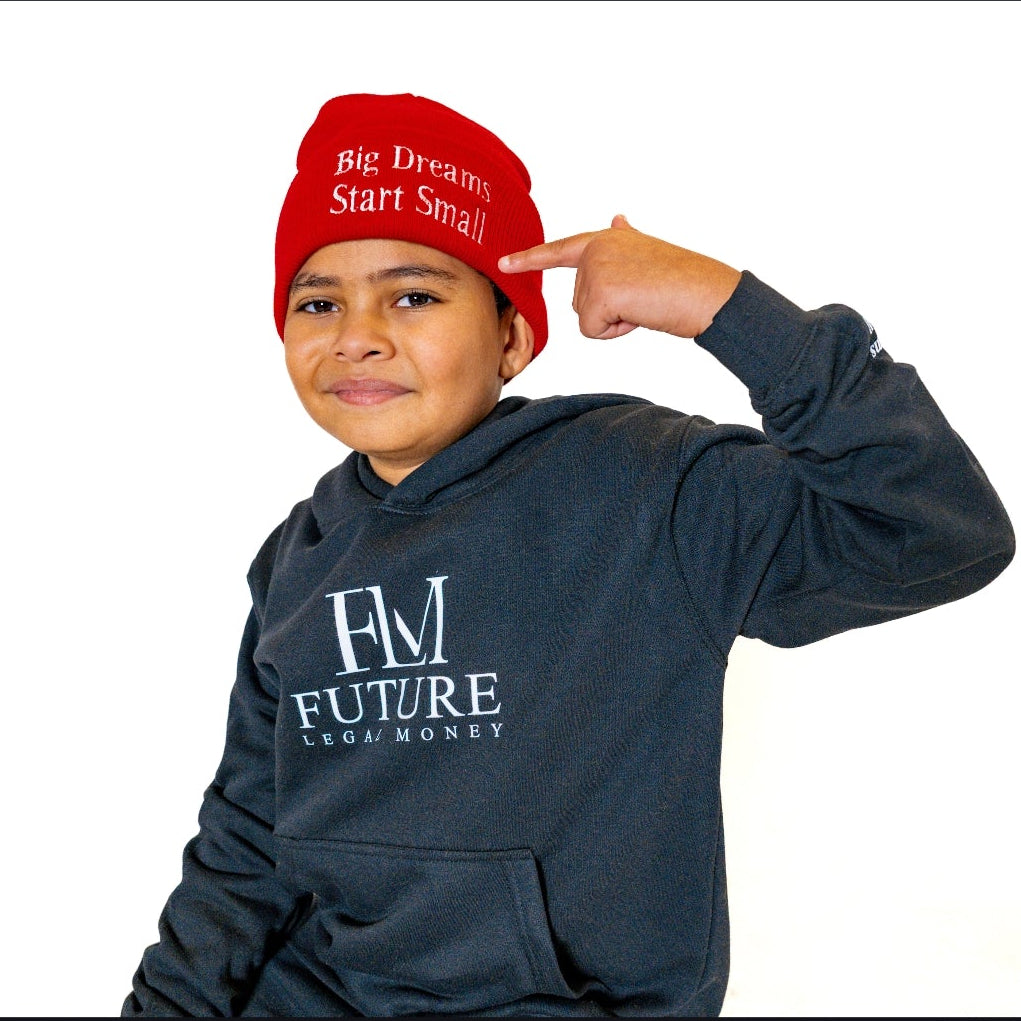 Kids hoodie big dreams start small hoodies